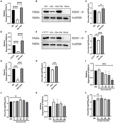 Lactate is useful for the efficient replication of porcine epidemic diarrhea virus in cell culture